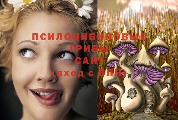 мет Аркадак
